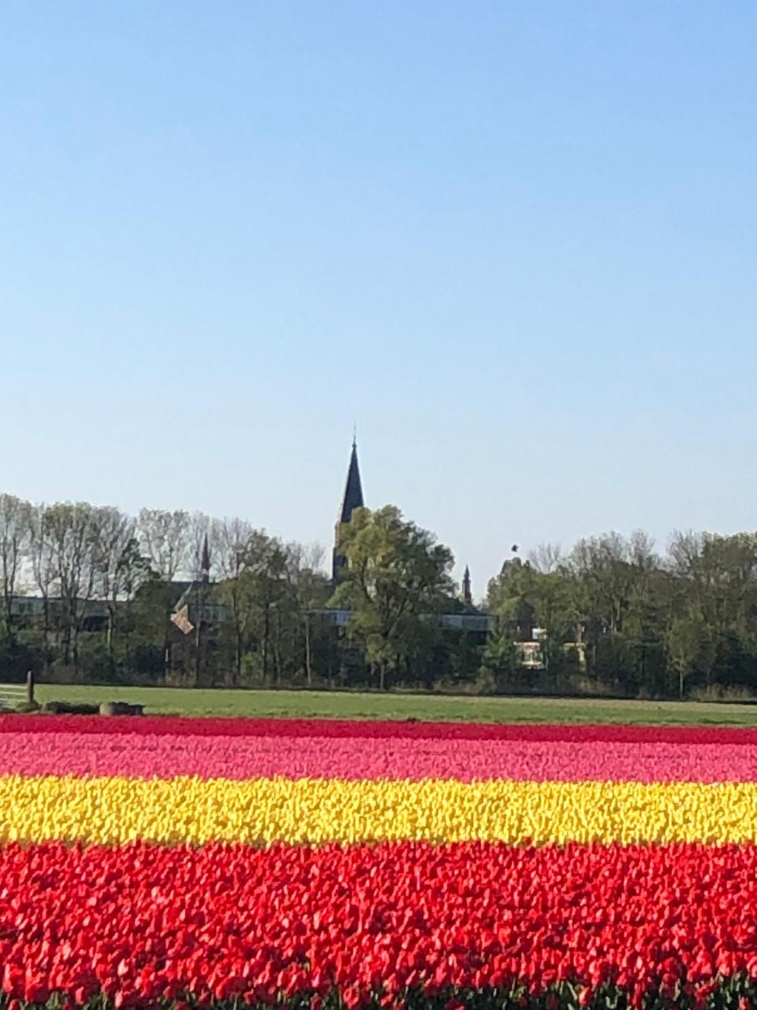 Prins Heerlijk Sassenheim Eksteriør billede